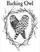 Barking Owl